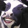 yawnito's profile picture