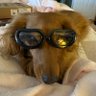 Linda Bruce's profile picture