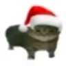 GPR's profile picture