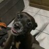 Apenas observando's profile picture