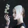 ピピマール's profile picture
