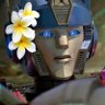 🩷TORB Straight Outta TFCon LA 2025🩵's profile picture