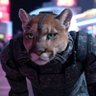 CoolCat profil fotoฤrafฤฑ