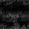 Cognita's profile picture
