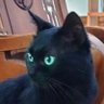 Profilbild von Atok
