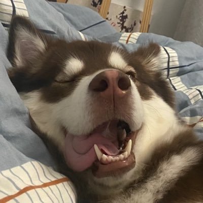 peakoloo20656's profile picture