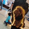 KNMK profil fotoğrafı