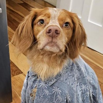 ReflctWillie's profile picture