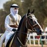 عبدالعزيز الشريف profil fotoğrafı