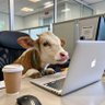 Profilbild von in ur area 💓BPxML🦭🐳