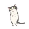 アムアイ's profile picture