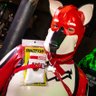 Mr Føxx 🦊 🔞 的头像