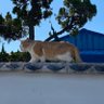 다희 profil fotoğrafı