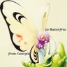 anboxingvgc➡️from Caterpie to Butterfree Group profil fotoğrafı