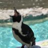 ãºãºâïžð's profile picture