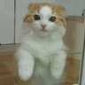 Фото профиля るるる