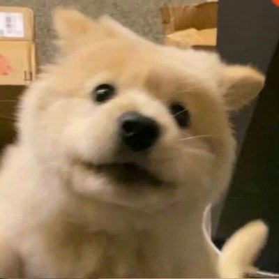 bblluu123's profile picture