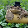 Potato's profile picture