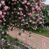 Фото профиля آلاء..