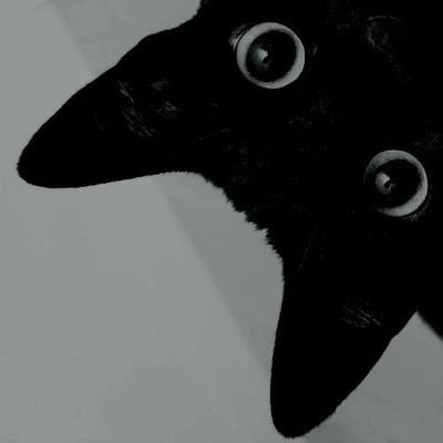 Nabi_naok's profile picture