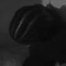 volkiano ☮️ profil fotoğrafı