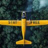 STAY FREE's profile picture