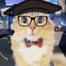 小诺（）'s profile picture