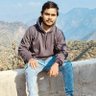 Profilbild von abhimanyu bhardwaj