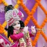 Ram ka sevak's profile picture