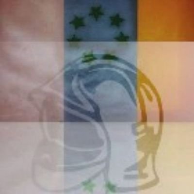 CmeteelNorte's profile picture