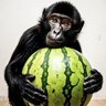 Фото профиля ลิงอุ้มแตง.com