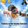 Фото профиля Y tú mamá también