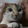 saturn🪐 profil fotoğrafı