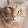 HP's profile picture