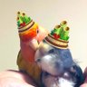 Фото профиля エンリコ