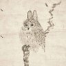 Profilbild von 小麦コング