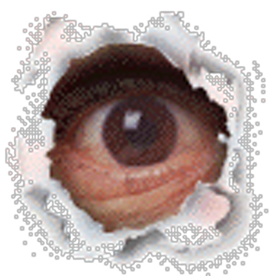 José Ezequiel Filho's profile picture