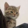 Profilbild von kei