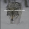 Wolf security and investigations limited's profile picture