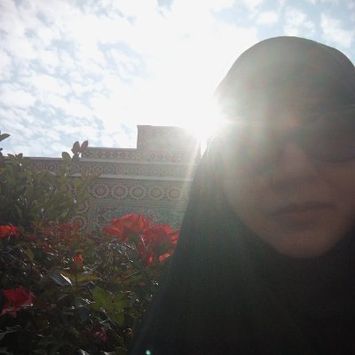 malihe_rose's profile picture