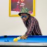 Profilbild von Pappy Og Lawal