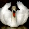 Florida Native profil fotoğrafı