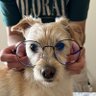 Benjamin I.'s profile picture
