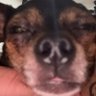 Austin profil fotoğrafı