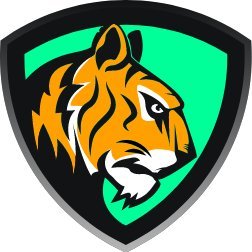 BiKing's profile picture