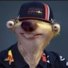Profilbild von Shaan