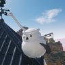 ガズラ 的头像