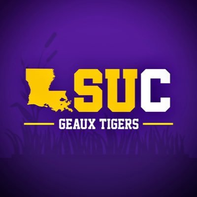 LSU_Capital's profile picture