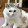 ととこ 的头像