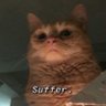 Profilbild von HolyRomanFuhrer